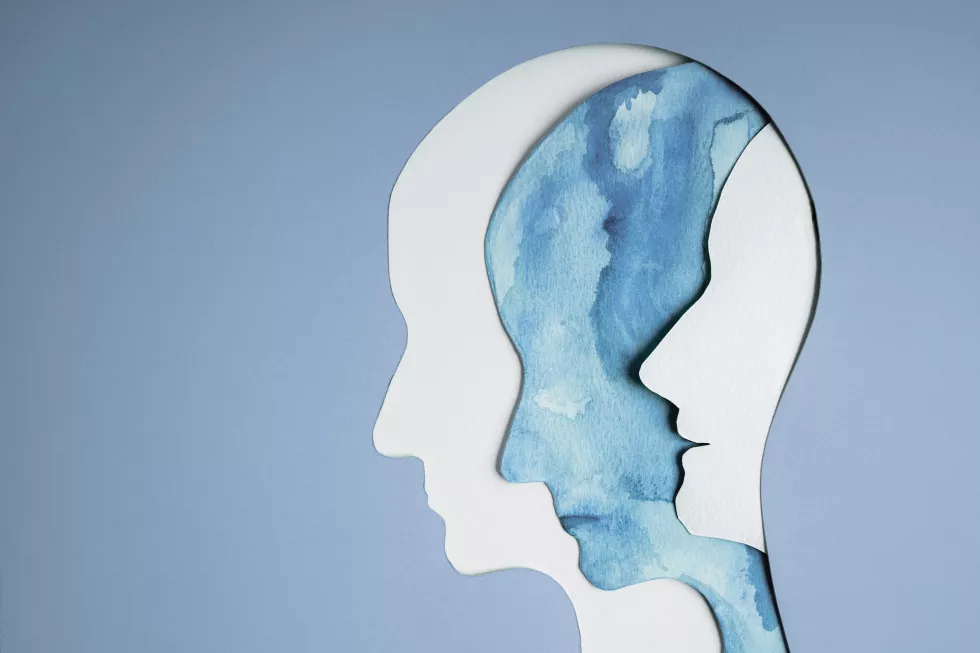 mental-health-disorder-concept-bipolar-disorder-person-unstable-psycho-layers-paper-cut-as-human-head-presenting-different-emotions-happiness-depression-emotion-inside