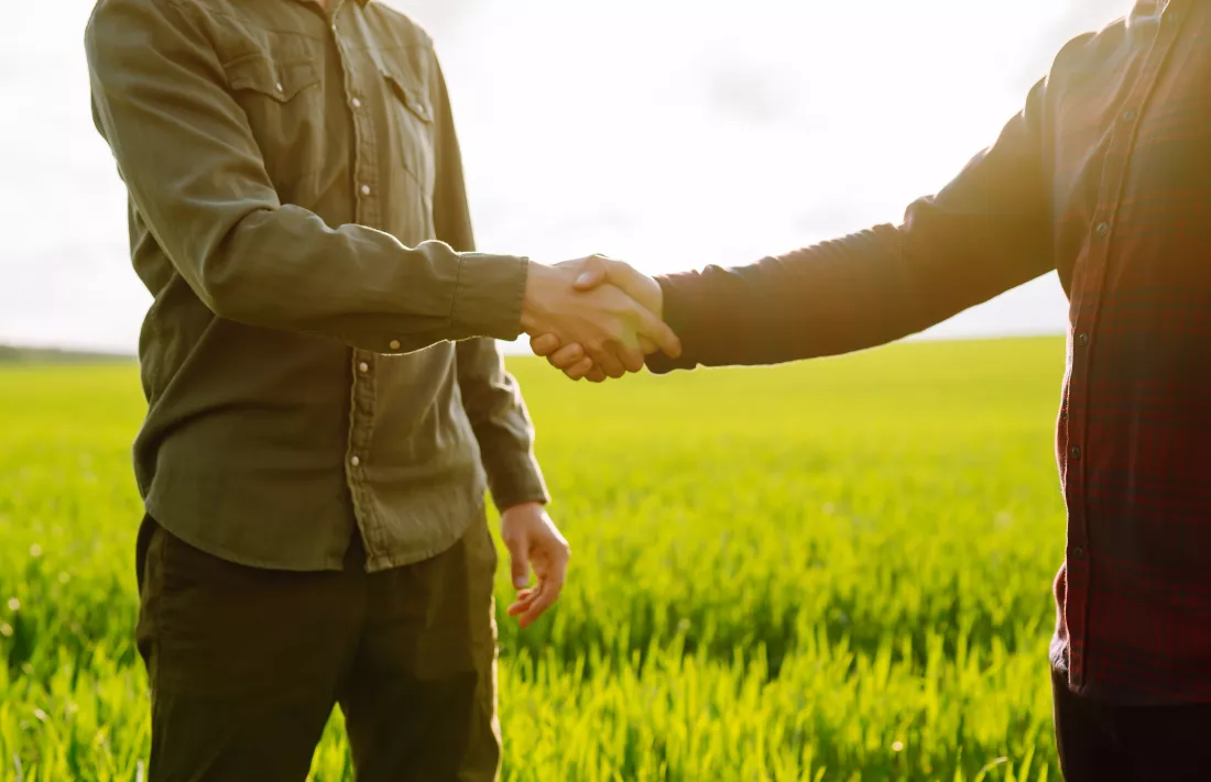 two-farmers-making-agreement-with-handshake-green-wheat-field-agricultural-business