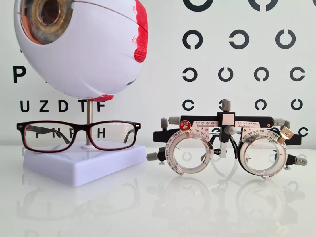 anatomy-human-eye-education-glasses-vision