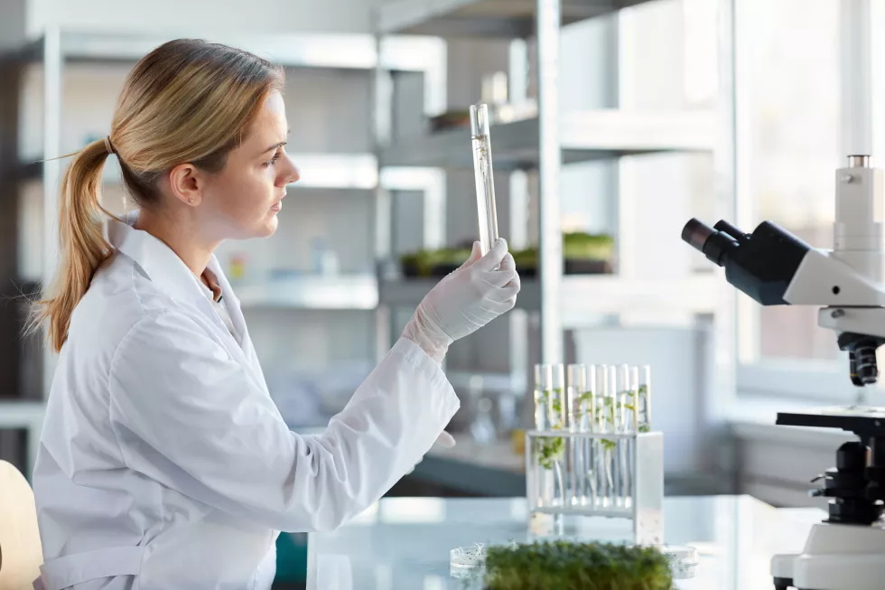 side-view-portrait-young-female-scientist-holding-test-tube-with-plant-samples-while-working-research-biotechnology-lab-copy-space