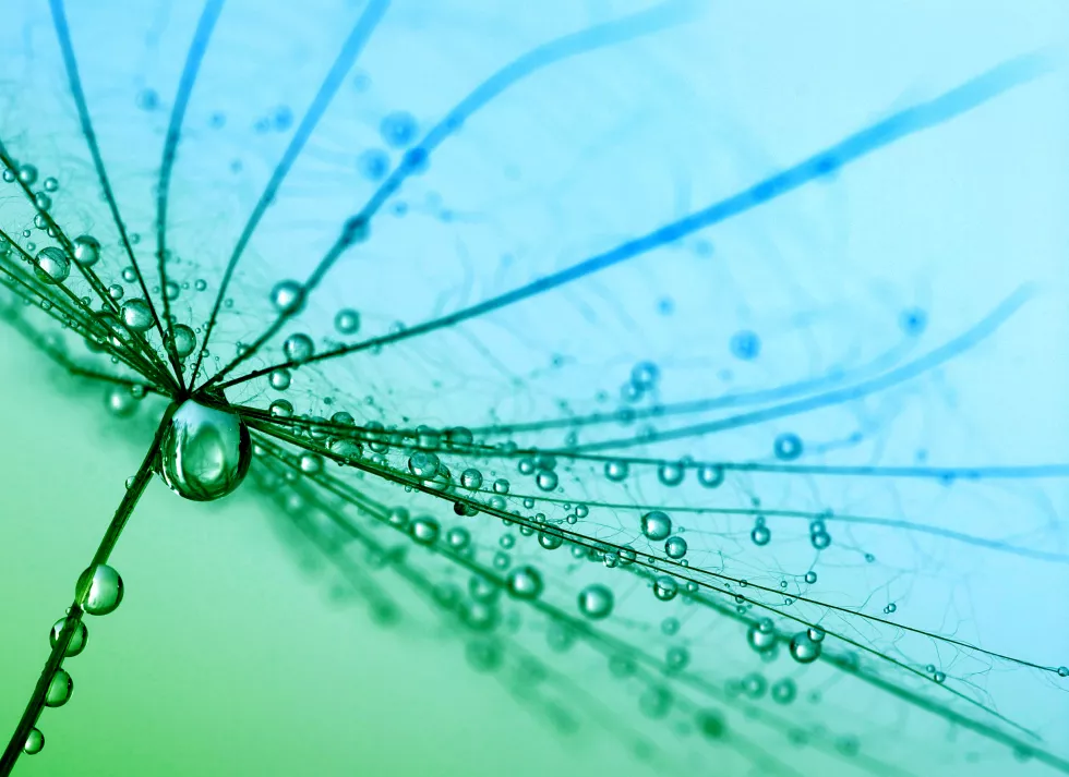 no-humans-gradient-gradient-background-bubble