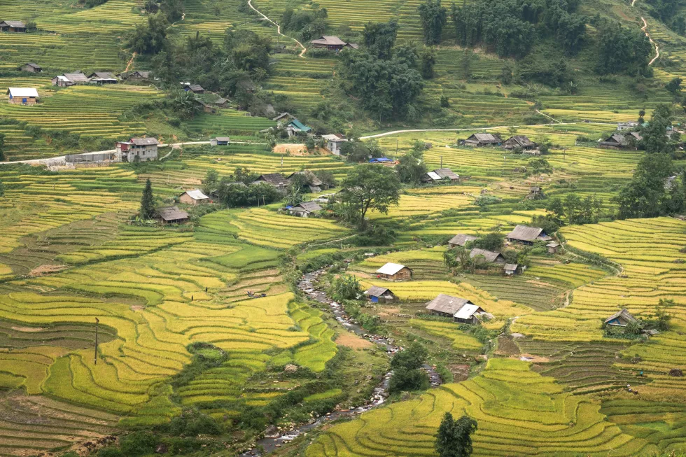 quang-nguyen-vinh-jJUbRorSK9s-unsplash