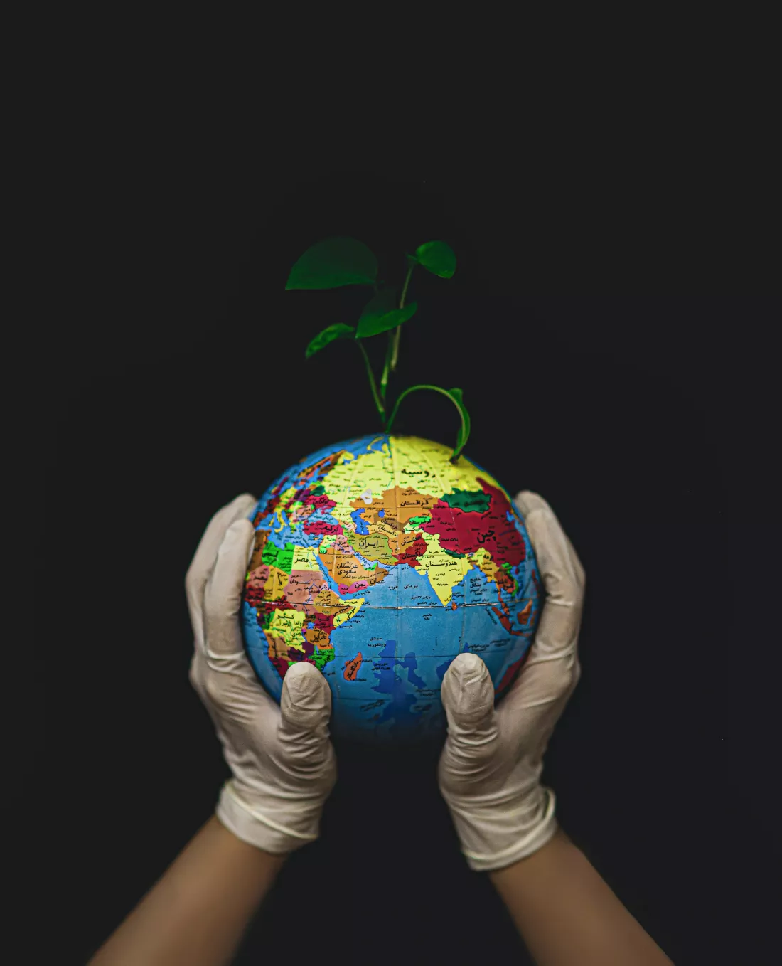 fateme-alaei-Q8W2r2aCmaw-unsplash