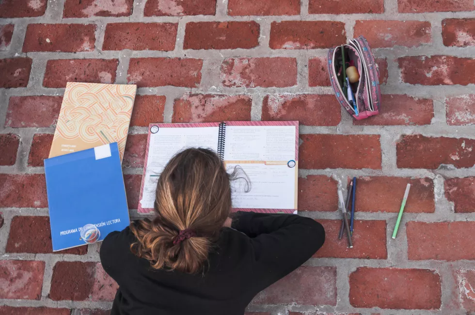 anonymous-girl-studying-brick-pavement