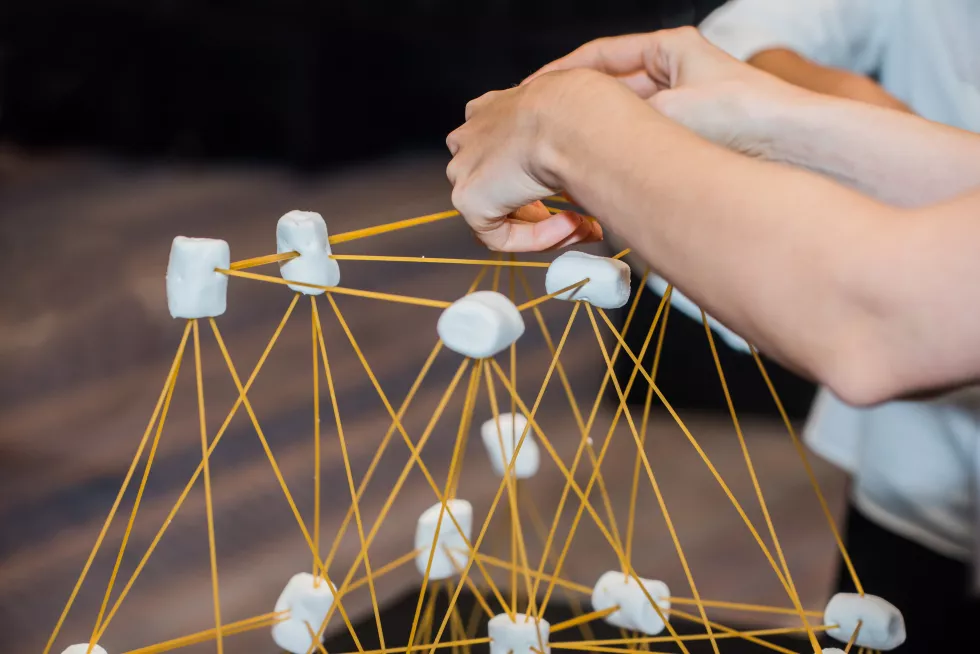 team-building-activities-use-marshmallow-wood-house-design