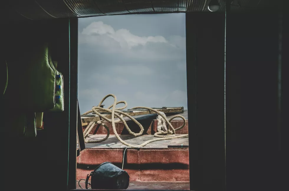 anh-nguyen-7vLHlekr8YE-unsplash
