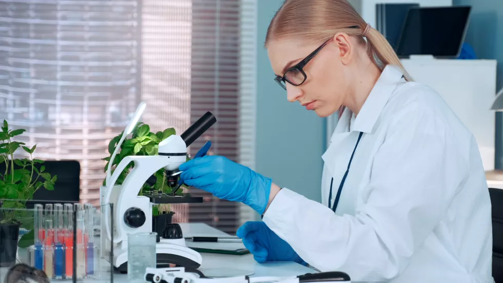 midsection-woman-working