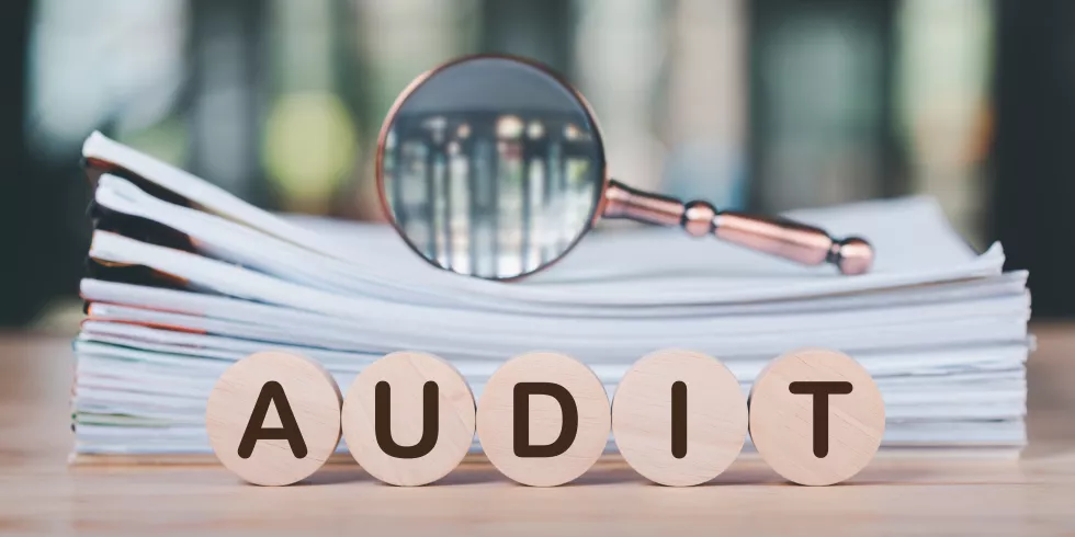 Controlling i audyt finansowy