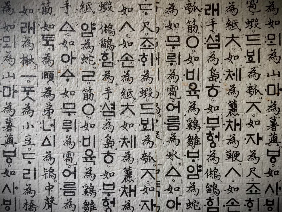 full-frame-korean-text-wall