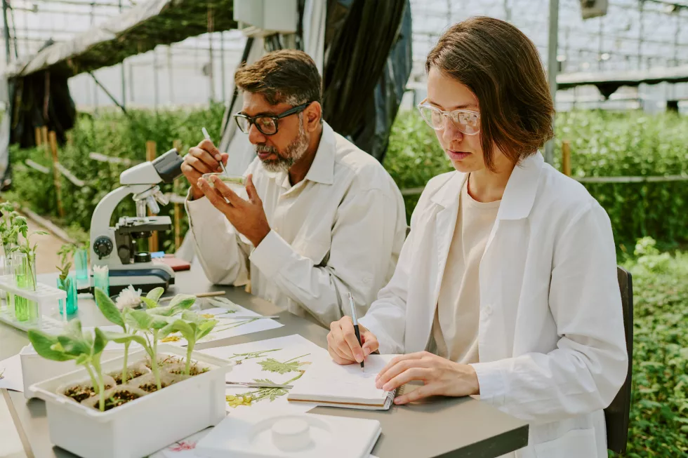 Biomonitoring i biotechnologie ekologiczne
