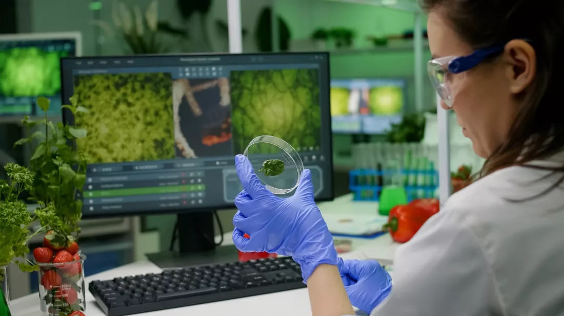 Biomonitoring i biotechnologie ekologicznev