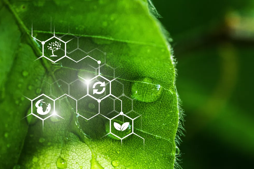 agricultural-field-clear-sunny-day-high-technologies-innovations-agro-industry