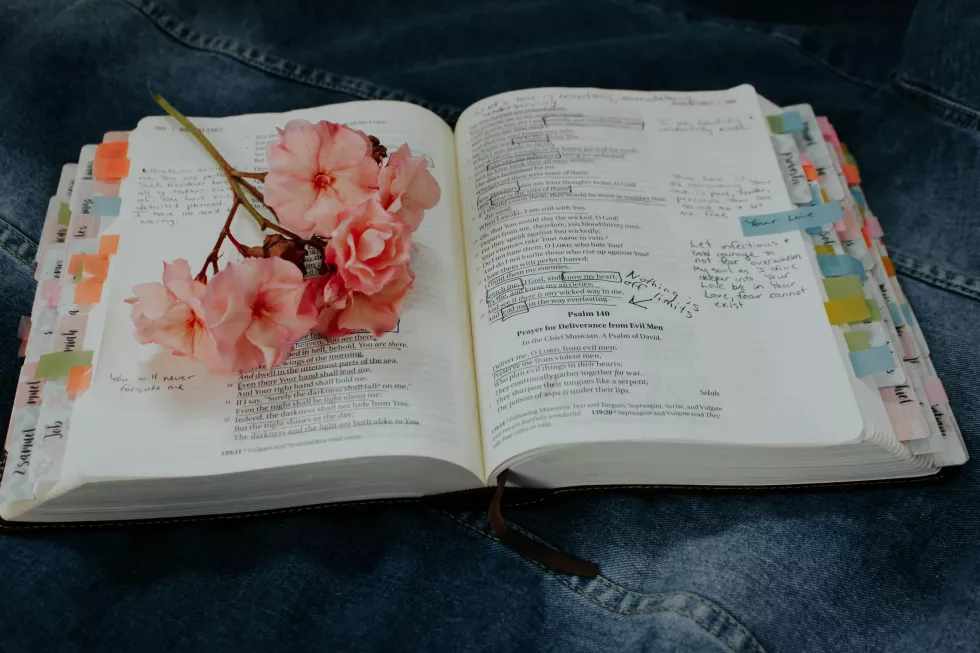 rachel-coyne-tImZgkTcCbQ-unsplash