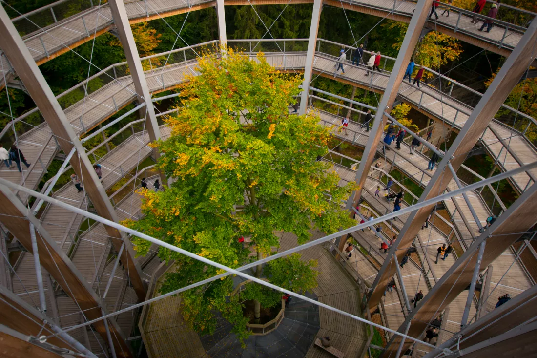 high-angle-view-steps