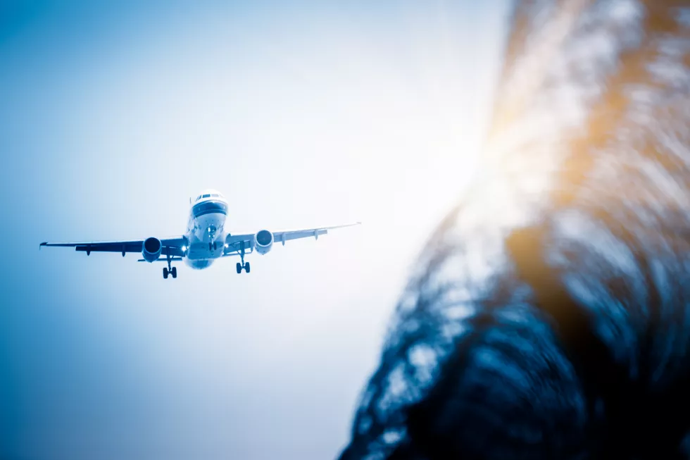 low-angle-view-airplane-flying-against-clear-blue-sky