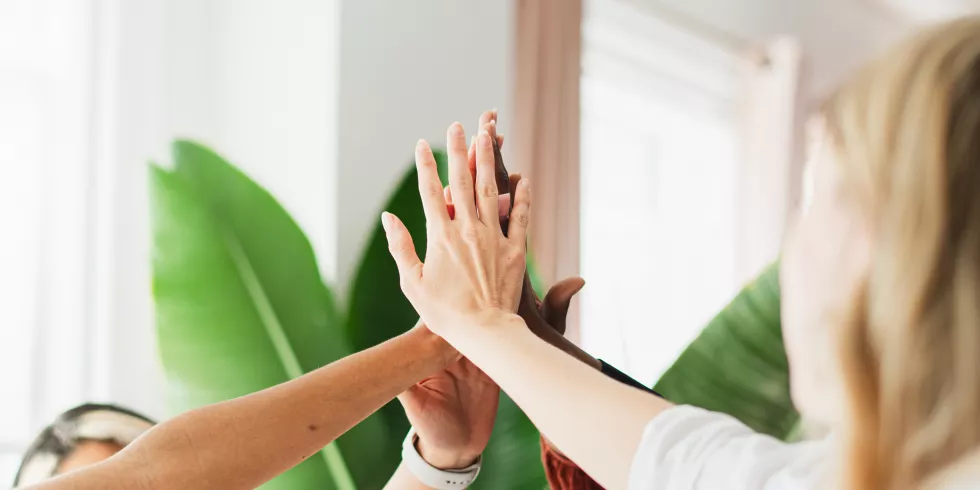 diverse-group-women-celebrate-teamwork-with-highfives-joyful-teamwork-women-highfives-group-businesswomen-achievement-highfives-cheerful-diverse-women-team-highfives-achievement