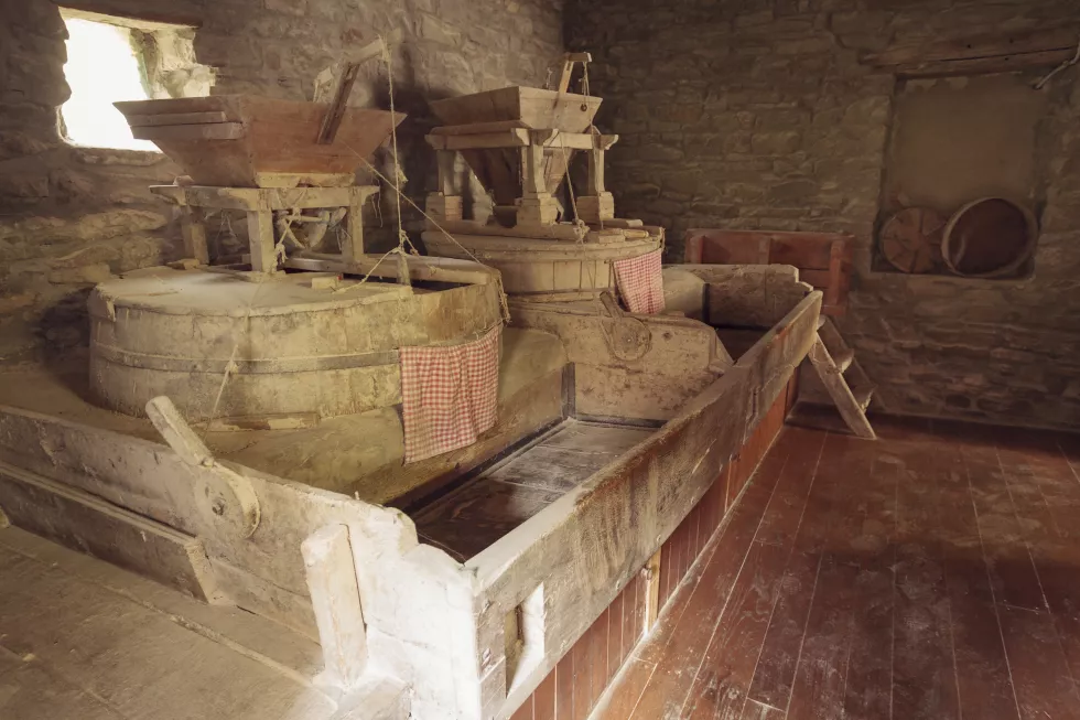 Archeologia Polski i powszechna