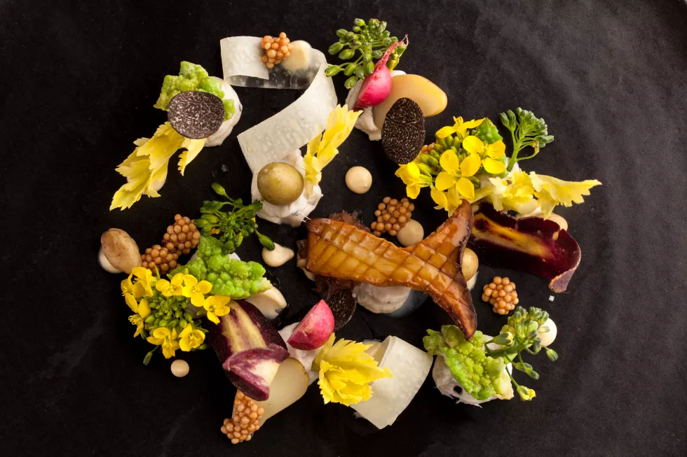 high-angle-view-food-served-plate