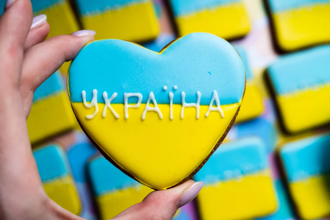 translation-ukraine-patriotic-gingerbread-cookies-with-flag-ukraine