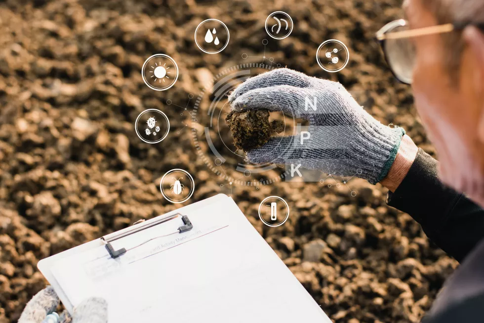 manure-hands-agricultural-men