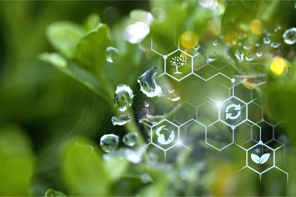 plants-background-with-biochemistry-structure-image