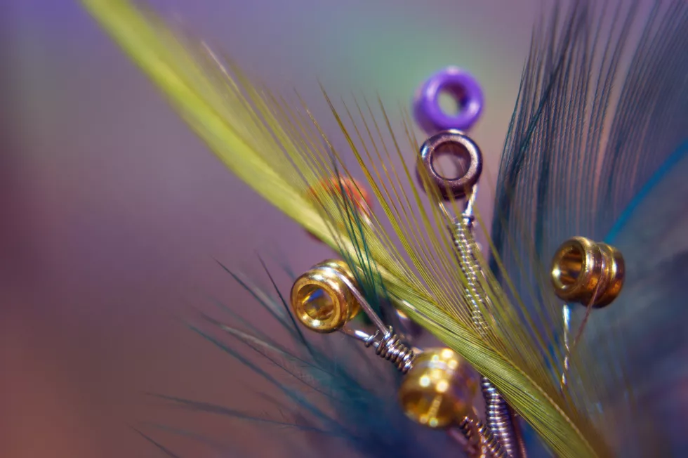 close-up-water-drop-plant