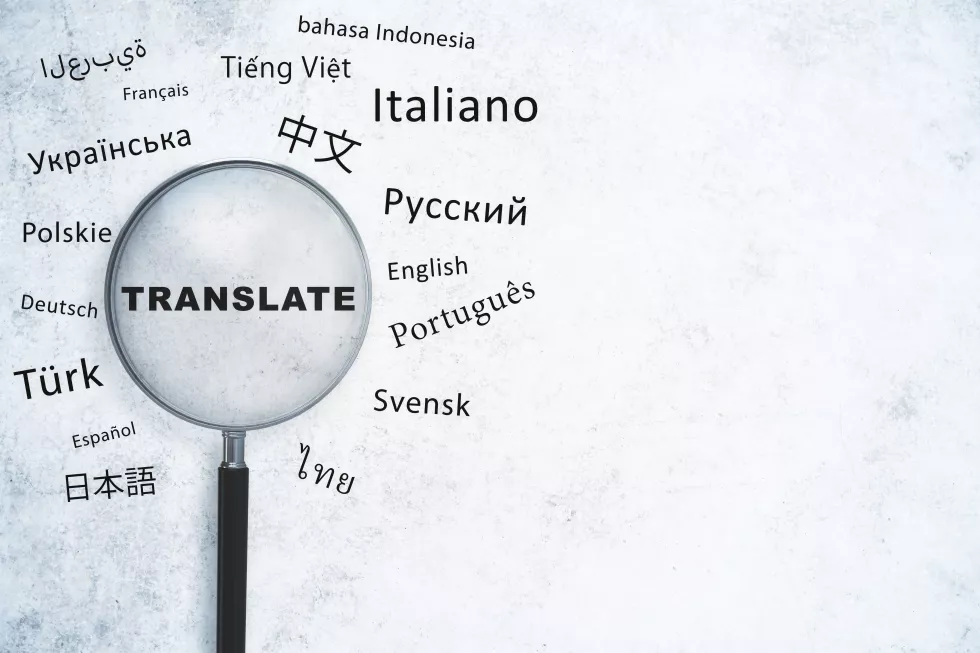 abstract-magnifier-with-text-white-wall-background-with-mock-up-place-translation-foreign-language-service-education-concept-3d-rendering