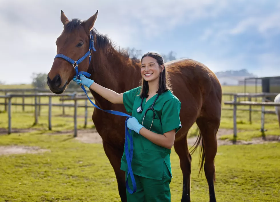 good-veterinarians-talk-animals-shot-young-veterinarian-putting-bandage-horse-farm