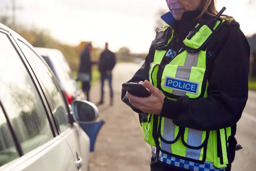 Policja w systemie bezpieczeństwa publicznego