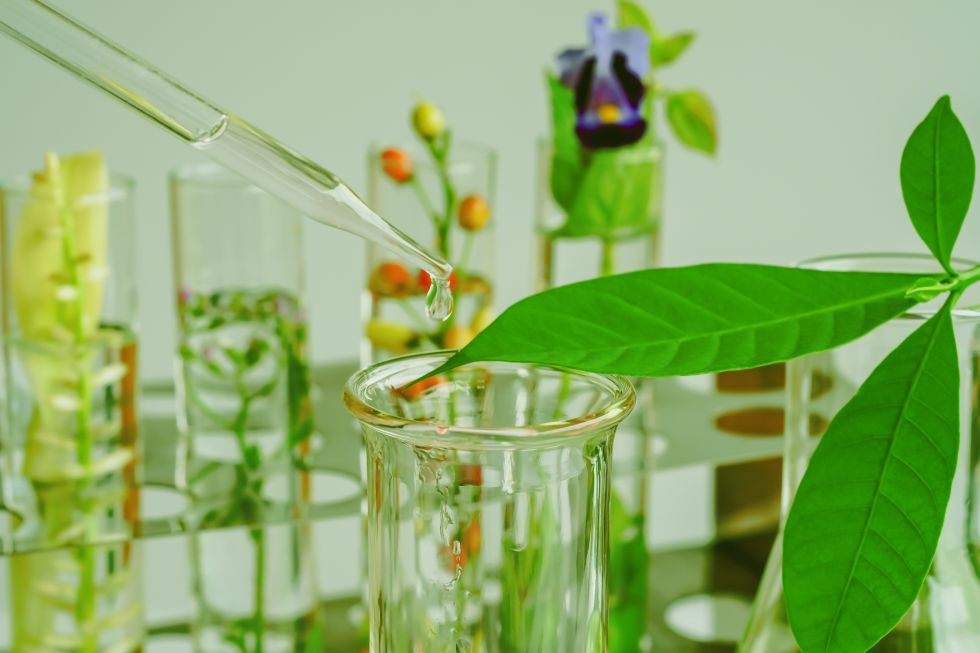 Biologia stosowana test