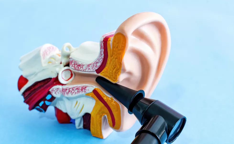 anatomical-ear-model-medical-device-used-check-ears-otoscope-prevention-hearing-organ-health-concept