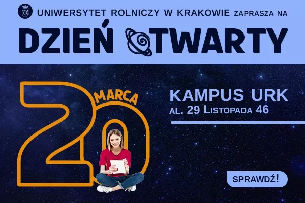 grafika 600x400 px ok