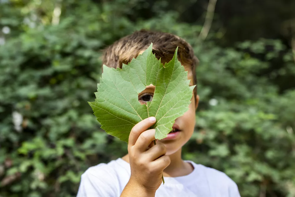 portrait-cute-boy-looking-through-hole-leaf