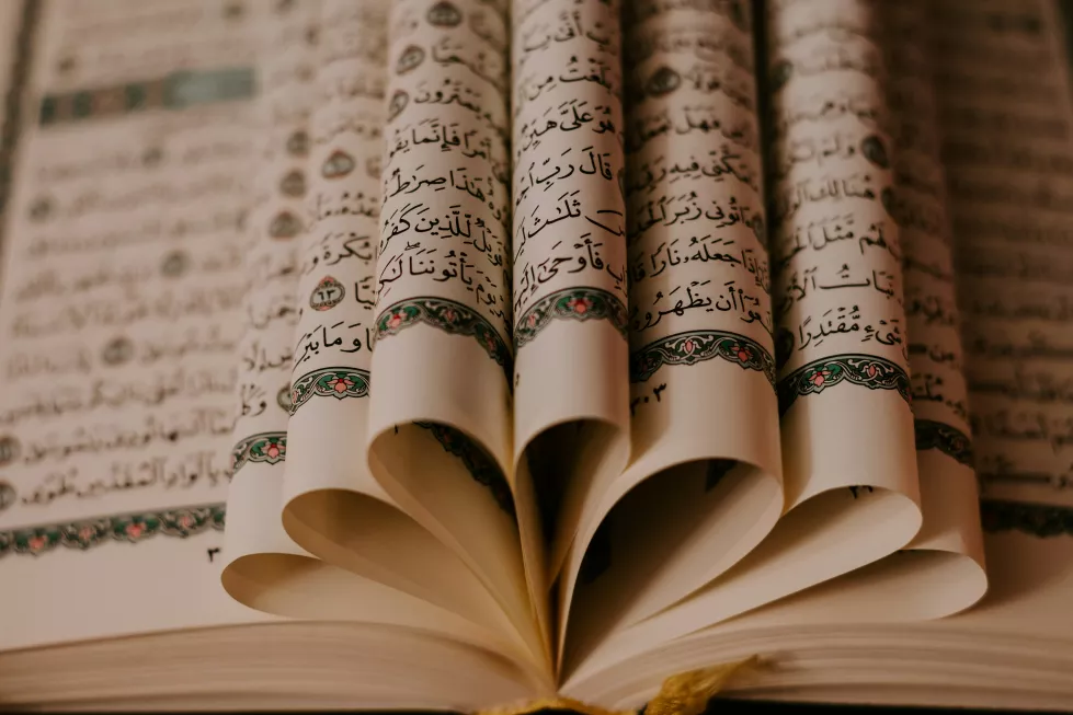 ashkan-forouzani-sfmsMZ7ezXw-unsplash
