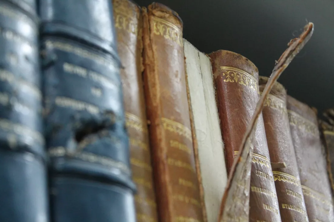 Filologia romańska z językiem obcym do wyboruv