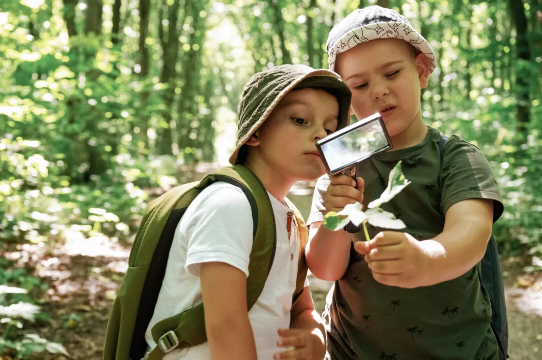exploring-plants-through-magnifying-glass-kids-forest-summer-daytime-together