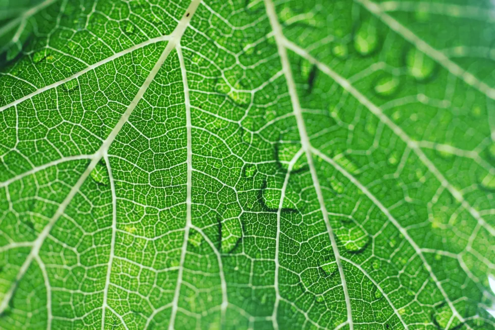manel-marco-sBn1aUoyOxw-unsplash(1)