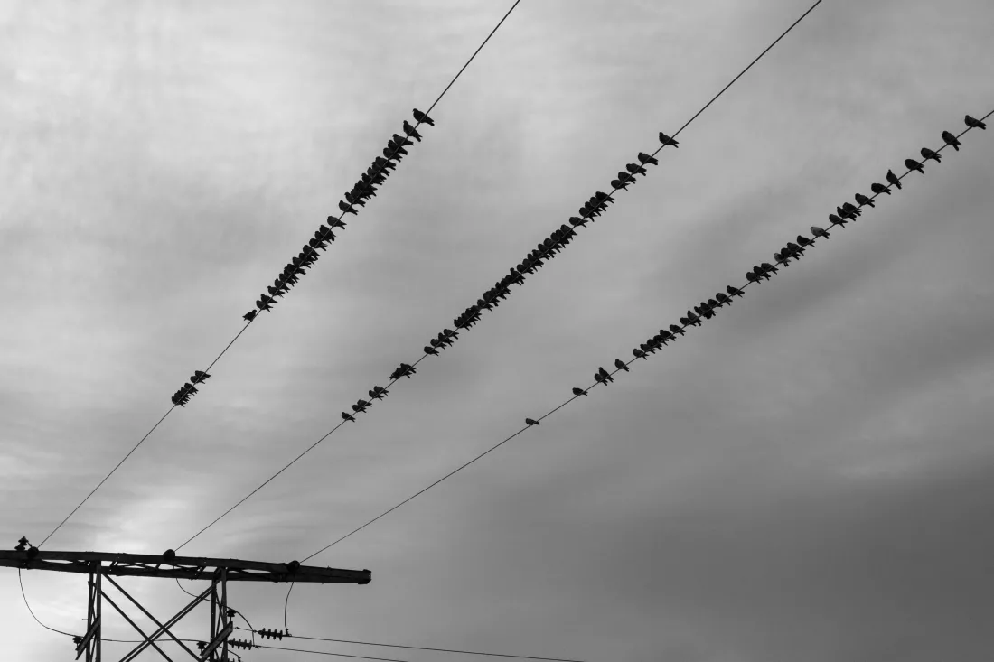 alex-jones-XPcsu_Da5qw-unsplash