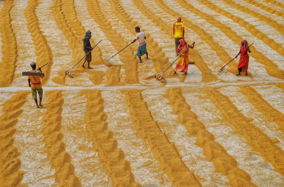 dibakar-roy-1HcFQUa09wM-unsplash
