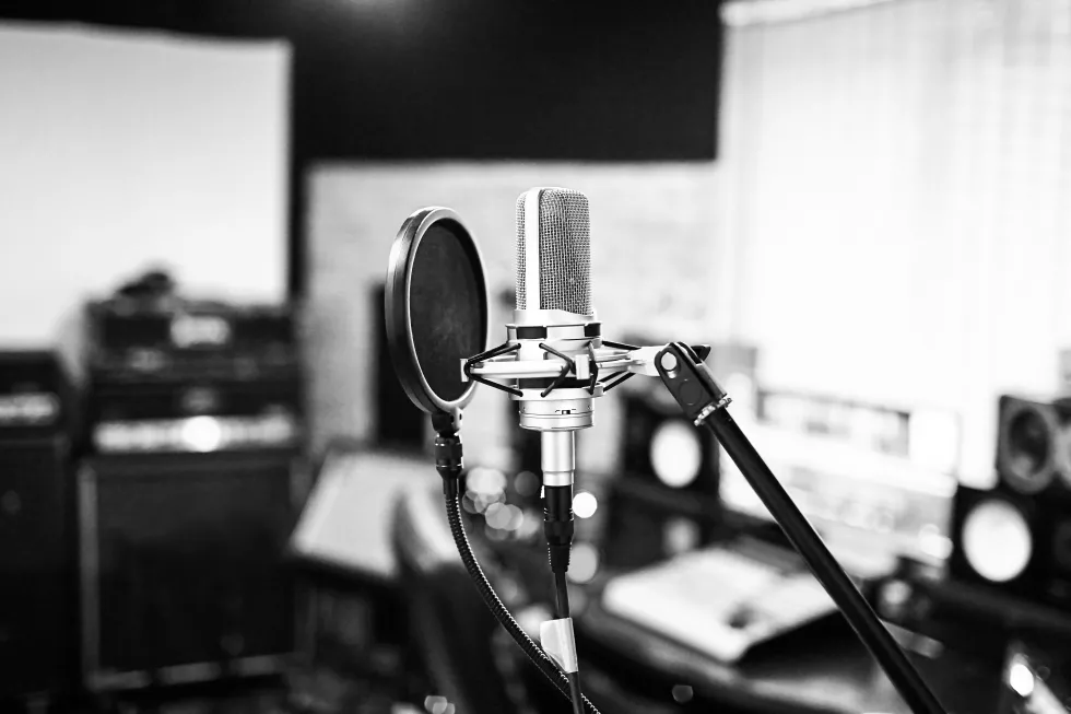 silver-condenser-microphone-with-pop-filter-anti-vibration-mount-music-studio