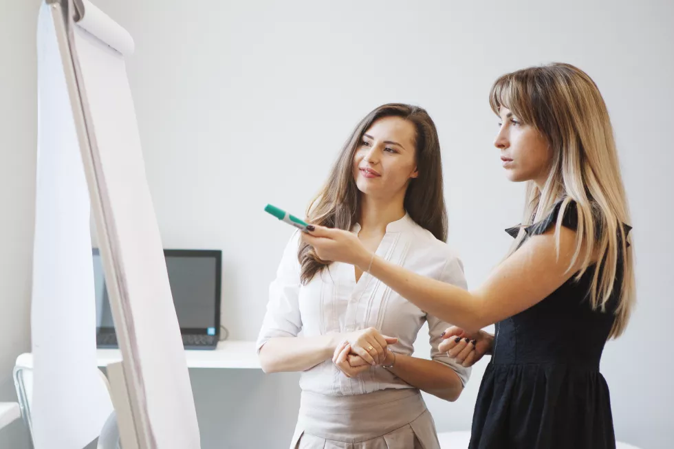 teams-office-staff-two-business-women