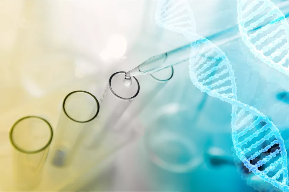 science-laboratory-test-tubes-laboratory-equipment