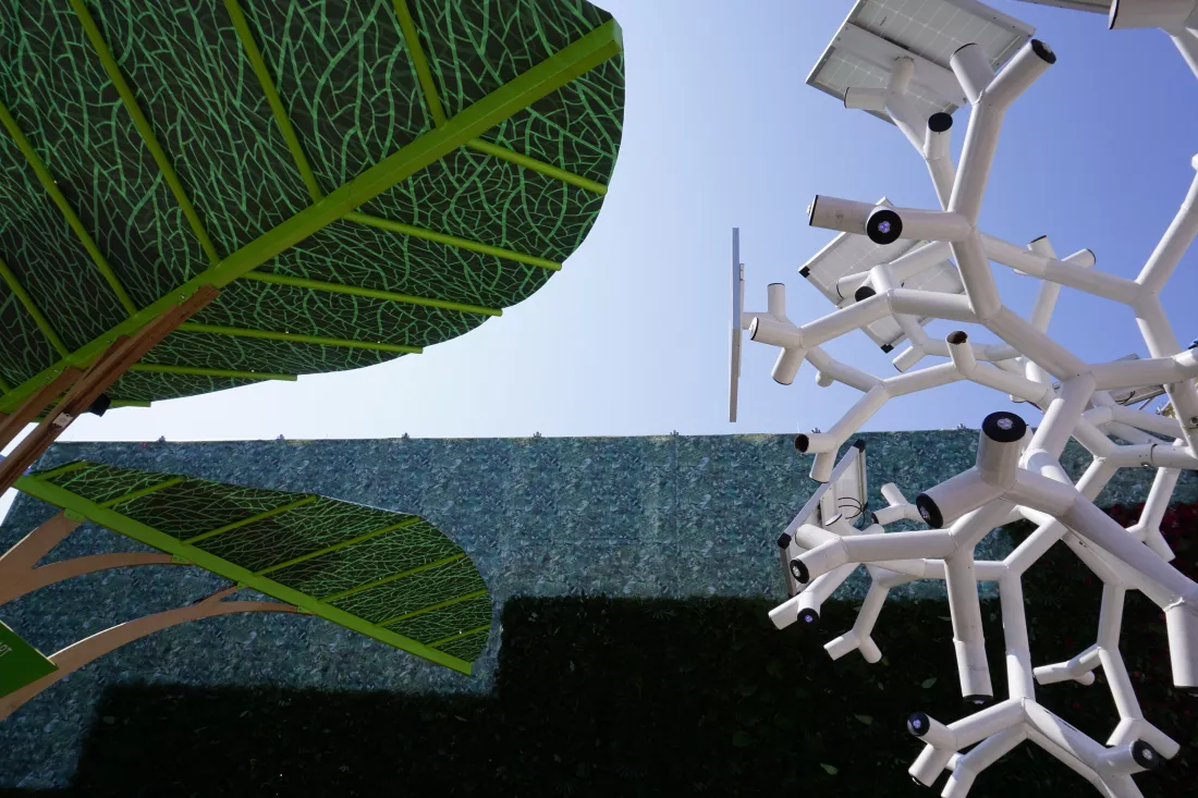 tilt-image-tree-by-building-against-sky