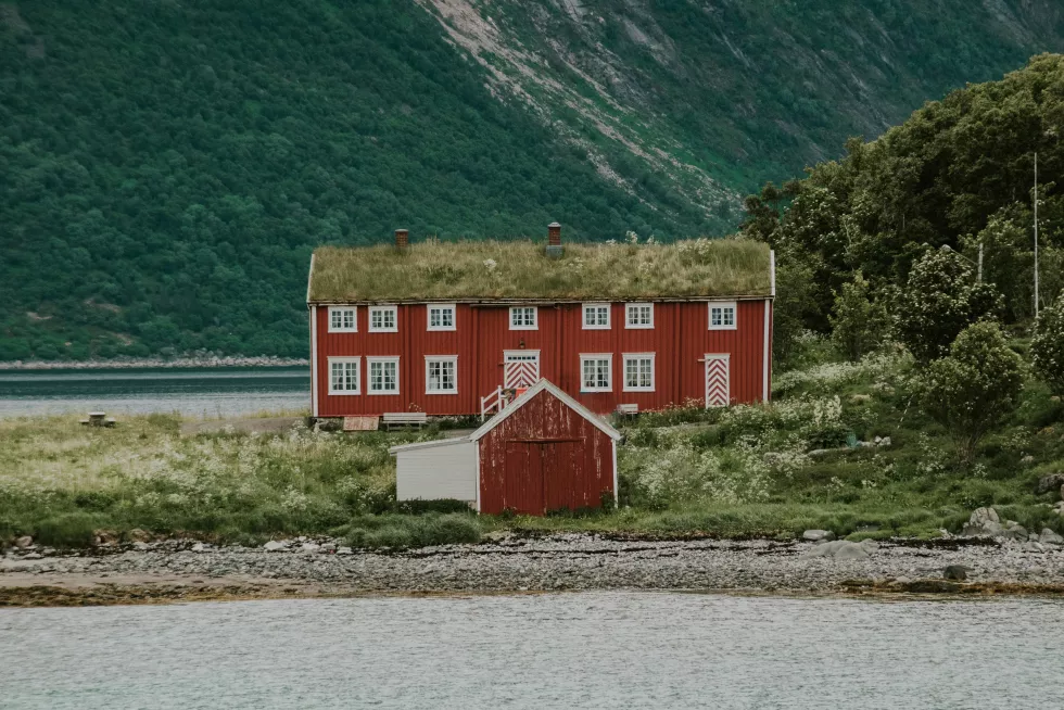 sandra-seitamaa-iFRIQiu9ldk-unsplash