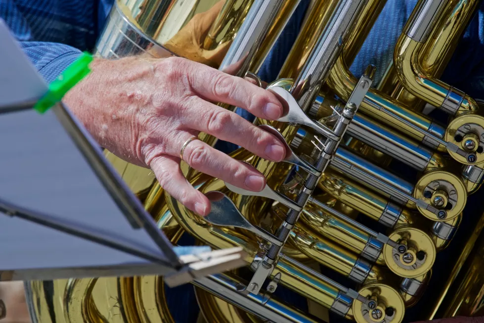Wykonawstwo instrumentalne