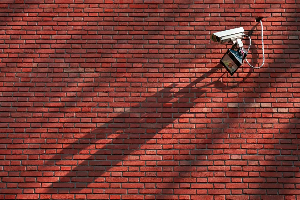 ria-Qwr6bZ3yZiE-unsplash