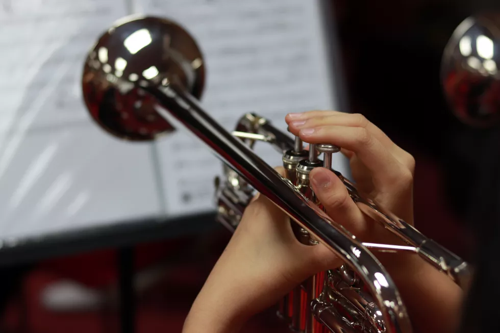 cropped-hands-person-playing-musical-instrument